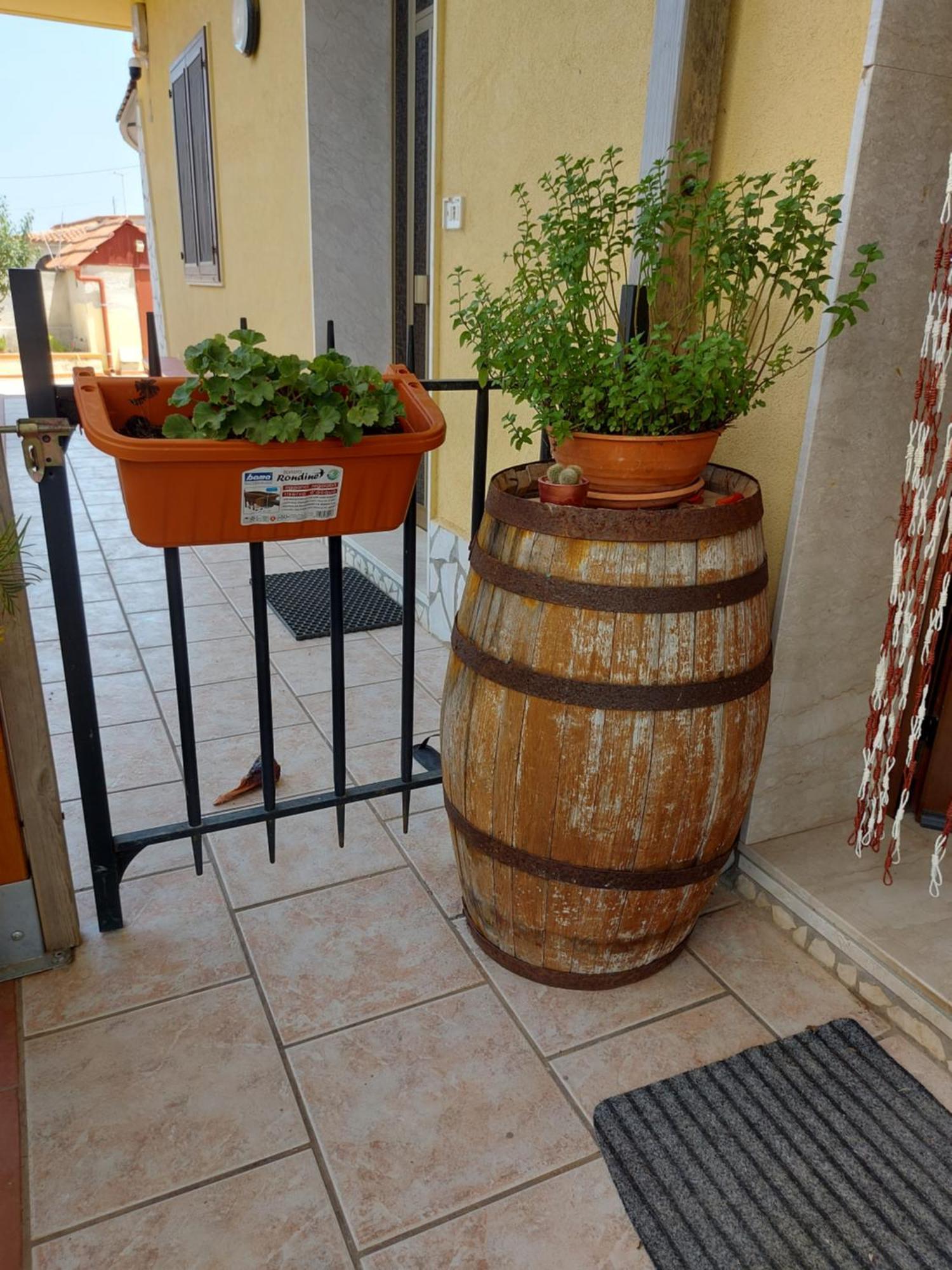 Elorina Sicily Home 시라쿠사 외부 사진